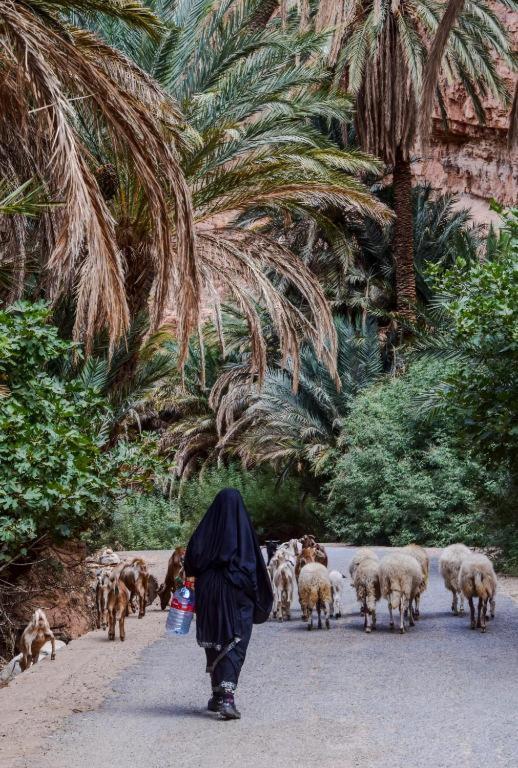 فندق Click Excursions Tafraoute Taddart المظهر الخارجي الصورة